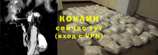 молекула духа Михайлов