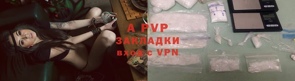 молекула духа Михайлов