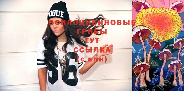 молекула духа Михайлов