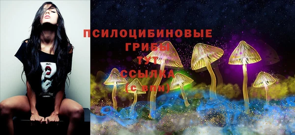 бутират Михайловка