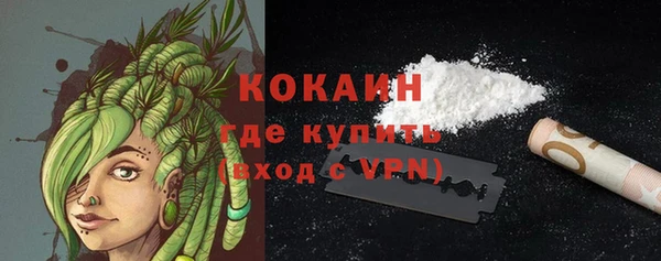 PSILOCYBIN Артём